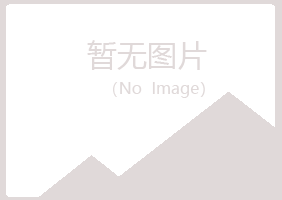 河池水桃化学有限公司